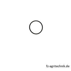 Runddichtrig 04384345 zu Deutz – Deutz Ersatzteile Ersatzteil