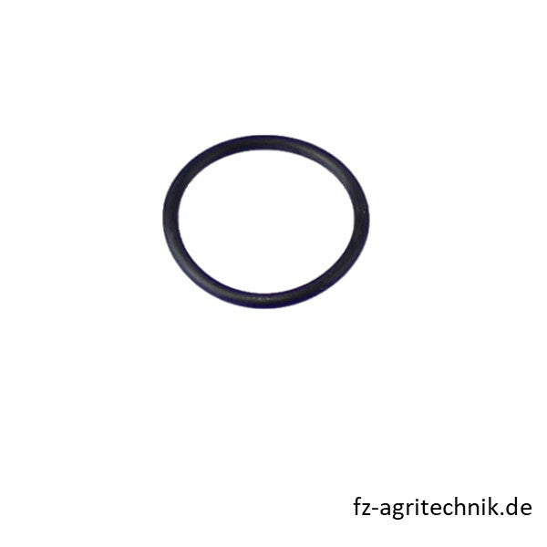 Rundgummiring 01169764 zu Deutz – Deutz Ersatzteile Ersatzteil