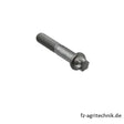 Schraube - Torx 01181417 zu Deutz – Landtechnik Ersatzteil