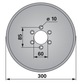 Sechscheibe 300 mm, glatt 289.00.07 zu KMF – Egge Scheiben Ersatzteil
