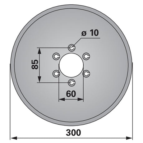 Sechscheibe 300 mm, glatt 289.00.07 zu KMF – Egge Scheiben Ersatzteil