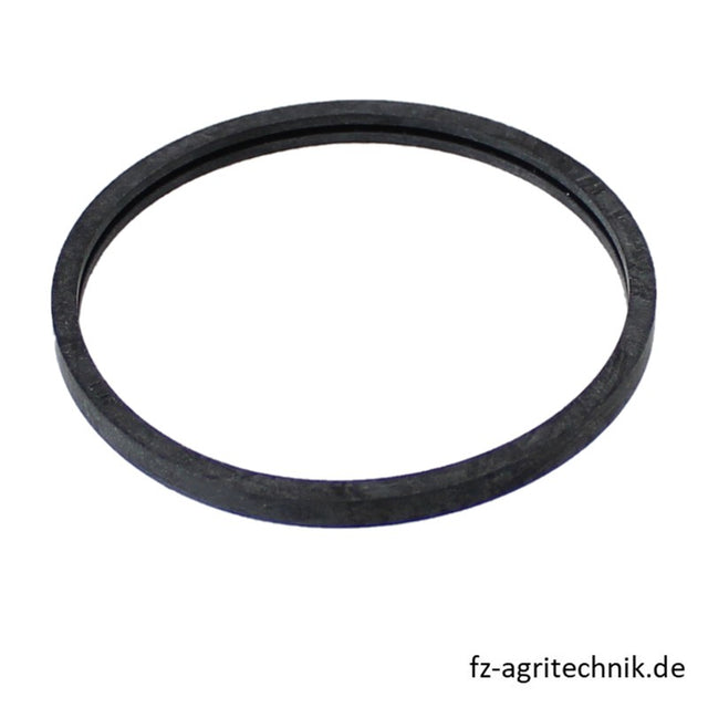 Thermostat Dichtring 04221386 zu Deutz