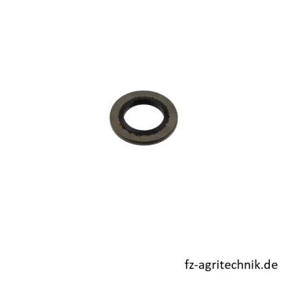 Dichtring 01173593  zu Deutz