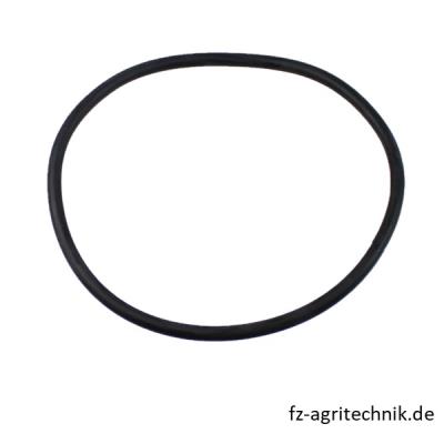 Dichtring 02101332 zu Deutz