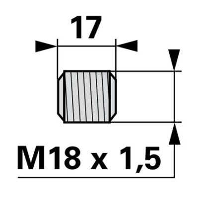 Esm Gewindestift M18 x 1,5 mm lose 323.3310