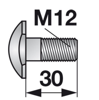 Esm Sonderschraube M 12 x 30 mm 323.3110