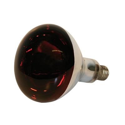 Hartglas-Infrarotlampe Kerbl 150 Watt - rot 