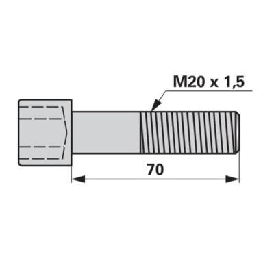 Innensechskantschraube 9.1057.0035.6 zu Lely Kreiseleggenzinke 
