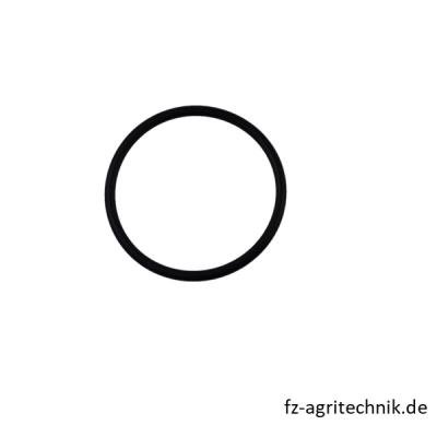 O-Ring - Runddichtring 01161794 zu Deutz