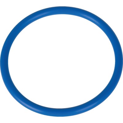 O-Ring X548958479000 zu Fendt