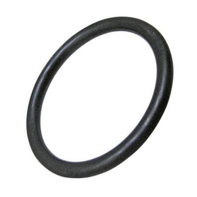 O-Ring 14471180  für Fiat