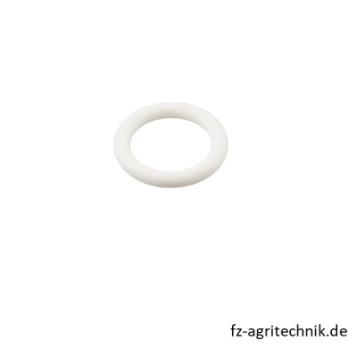 Runddichtring 01164493 zu Deutz