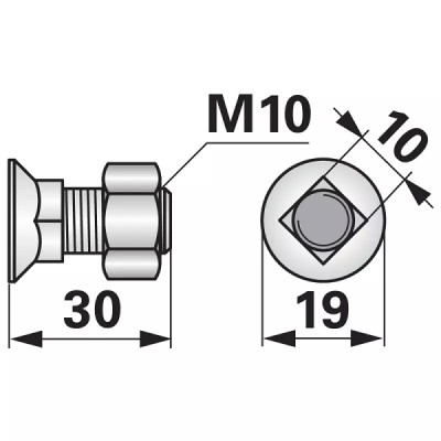 Schraube mit Vierkantansatz - M10x30 mm - 10 Stück