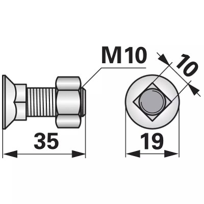 Schraube mit Vierkantansatz - M10x35 mm - 10 Stück