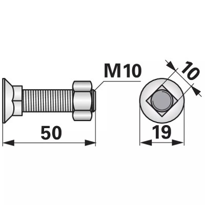 Schraube mit Vierkantansatz - M10x50 mm - 10 Stück