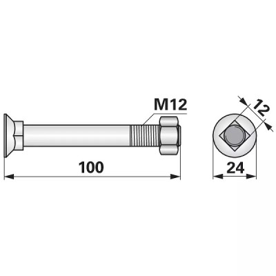 Schraube mit Vierkantansatz - M12x100 mm - 10 Stück
