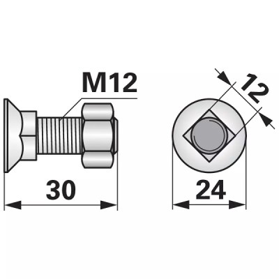Schraube mit Vierkantansatz - M12x30 mm - 10 Stück