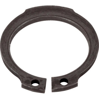 Sicherungsring 118597 zu Fella