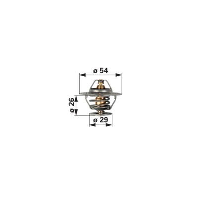 Thermostat 98463637, 4823211 zu Ford 