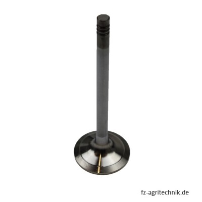 Ventil 04272394 zu Deutz